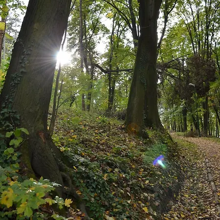 Appartement Kraljica *