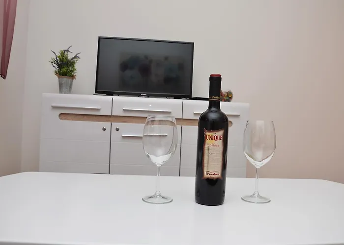 Kraljica Apartament Banja Koviljača