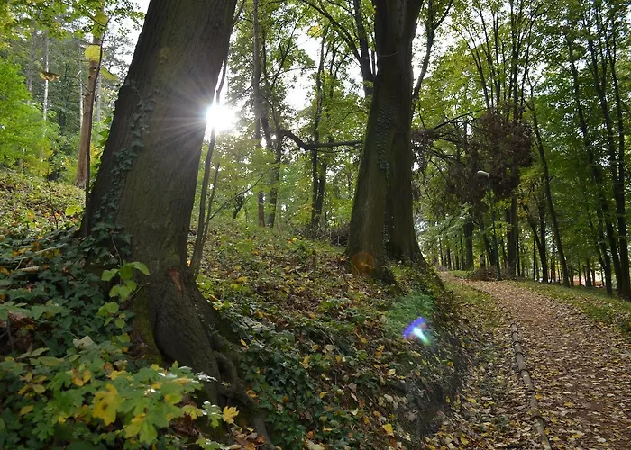 Apartament Kraljica *